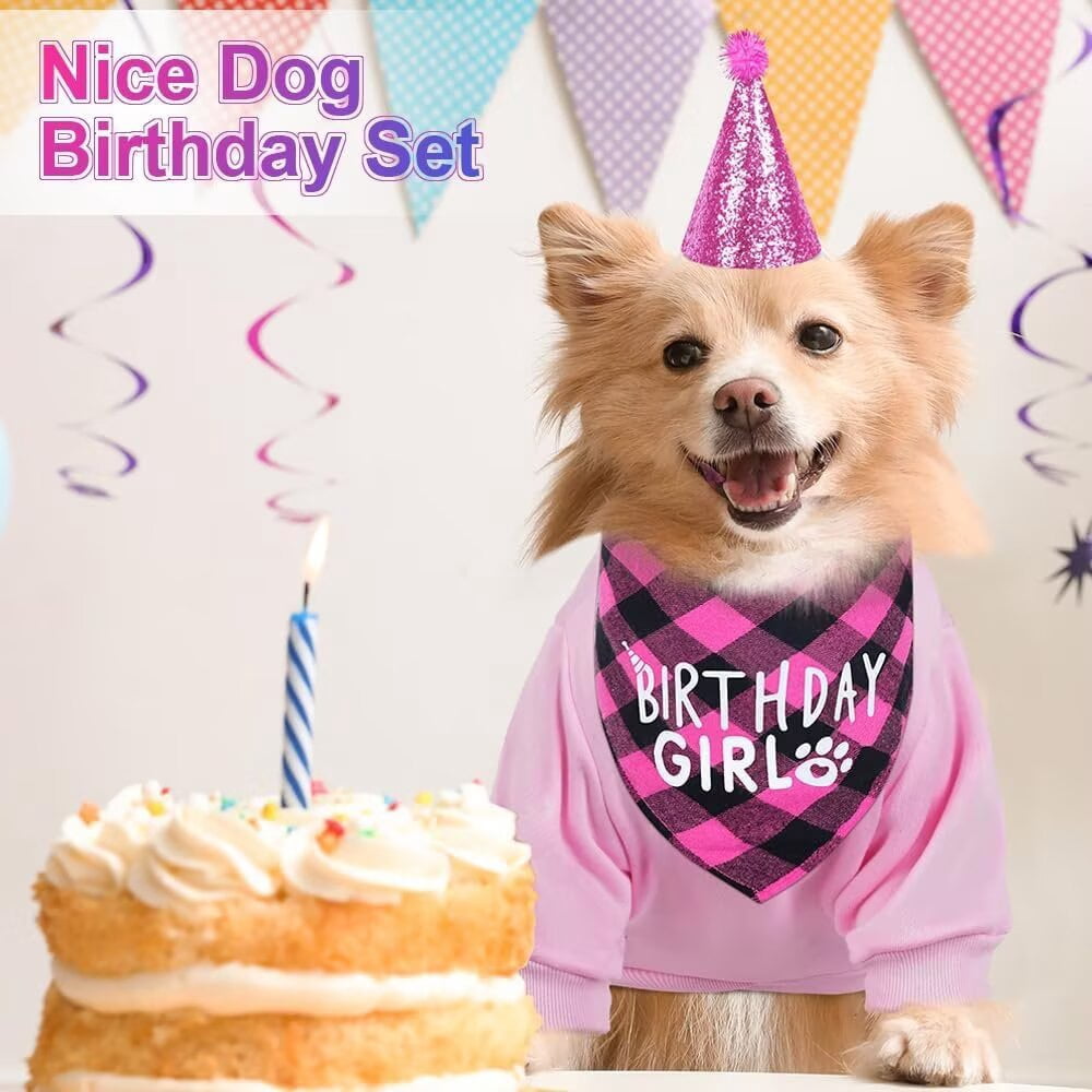 Dog Birthday Gift Set Supplies - Birthday Bandana, Sweater & Party Hat for Small, Medium & Extra Large Dogs Girl and Boy
