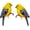 yellow, variant on Bird Species Garden Statue - Realistic Textured, Fade-Proof ASA Resin, - Cottagecore Backyard Decor for Bird Lovers(2-piece set)