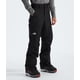 thumbnail image 2 of Pantalones de nieve The North Face Freedom impermeables para hombre, negros, talla M, 2 of 7