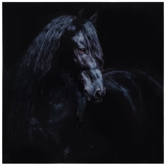 Black Equine Attraction Frameless Free Floating Tempered Glass Panel Graphic Wall Art , 38" x 38"
