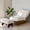 Beige, variant on GOODONE Accent Chair with Ottoman,Adjustable Backrest Lounge Chair with Footrest Set,Tufted Reclining Chair for Living Room,DGrey