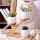thumbnail image 4 of Cute Owl Pot Succulent Cactus Planter Flowerpot Set With Bamboo Shelf Tray Decor, 4 of 5