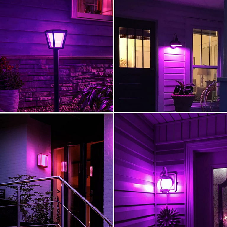 BAOMING 9W LED Blacklight Bulb A19 E26 Base UV Black Light Bulb Fluorescent  Glow in the Dark Party, 3 Pcs 