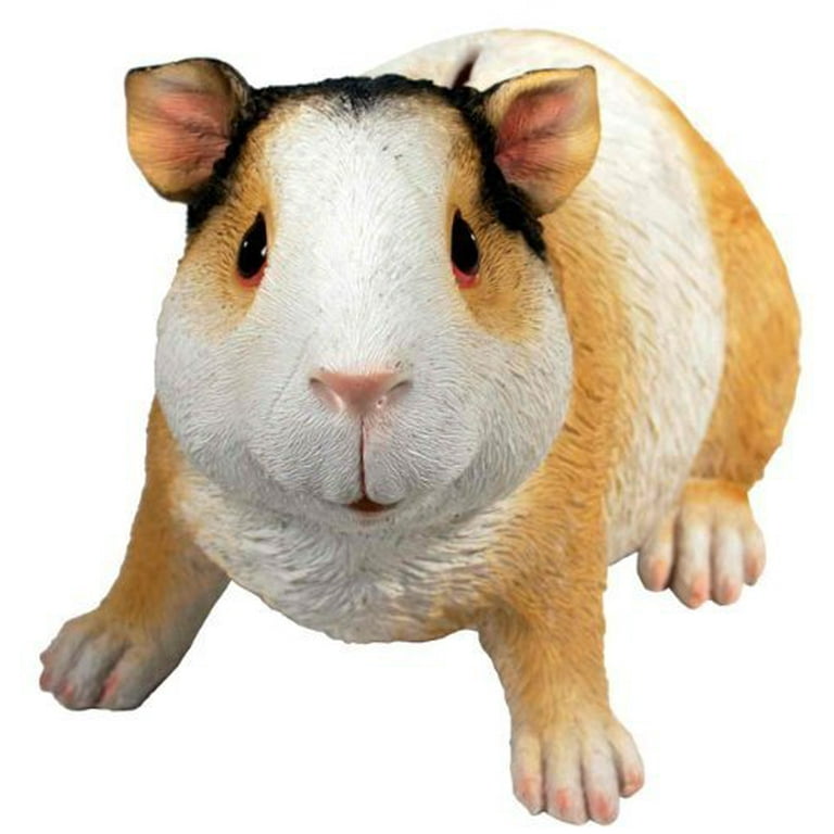 Guinea pig cheap money box