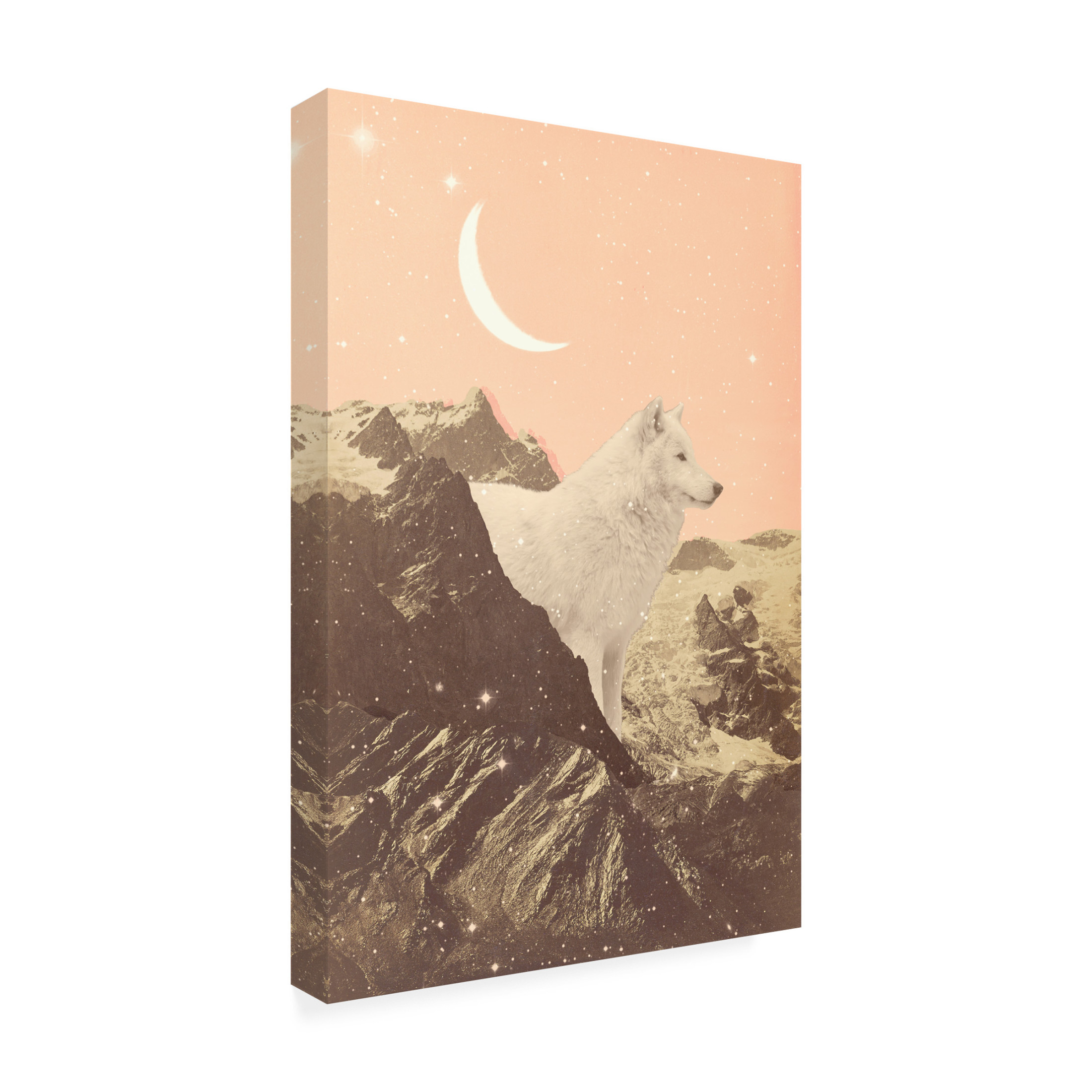 Trademark Fine Art Florent Bodart Giant White Wolf In Mountains Canvas Wall Art