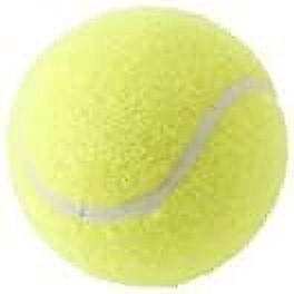 Championship (20 Cans, 60 Balls Total Regular Duty Felt)