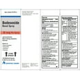Budesonide Nasal Spray, 32 mcg, 120 Metered Sprays