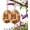 2PC, variant on Butterfly House for Garden, Teardrop-Shaped Wooden Butterfly Habitat & Feeder with Rope, Hanging Habitat Feeder Decoration, Wooden Nesting Box for Butterflies Bugs Moths & Lacewings
