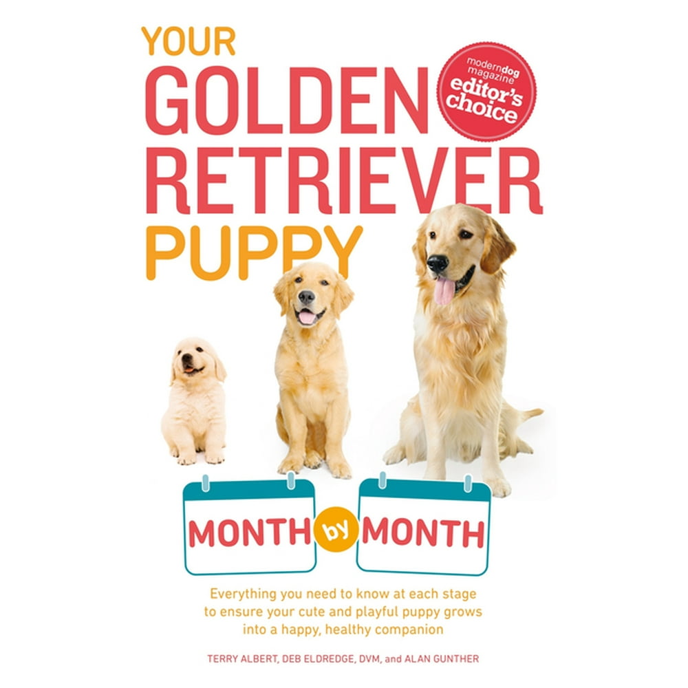 Your Puppy Month by Month Your Golden Retriever Puppy Month by Month