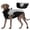 A, variant on Dog Winter Coat Built in Harness Windproof Reflective for All Sizes