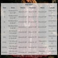 thumbnail image 3 of HCBY Women's Halloween Maxi Dress Long Sleeve V Neck Printed Gothic Inspired A Line Long Dress for Vintage Party and Themed Events, 3 of 4