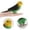 05, variante sur Kiplyki Wholesale Jouets d'Animaux Perroquet Figurines Décoration Maison Préscolaire Éducatif