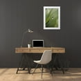 thumbnail image 3 of Rotenberg, Nancy 18x24 White Modern Wood Framed Museum Art Print Titled - Blade of Grass with Dewdrop, 3 of 4