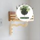 thumbnail image 3 of Maceta de Madera para Colgar Plantas en la Pared, Cestas de Madera Onduladas Resistentes para Colgar Plantas en la Pared., 3 of 5