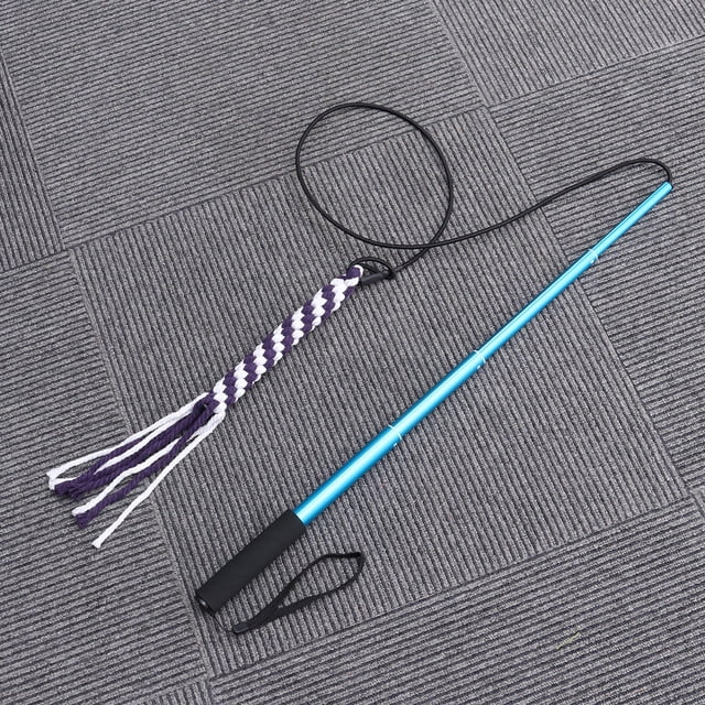 OULII 1Set Interactive Dog Toys Extendable Flirt Pole Blue for Pets Training