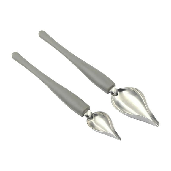 2pcs Culinary Drawing Decorating Spoon Set Stainless Steel Chef DIY Decor Tool Kitchen Painting Spoons for Plate Chocolate Dessert