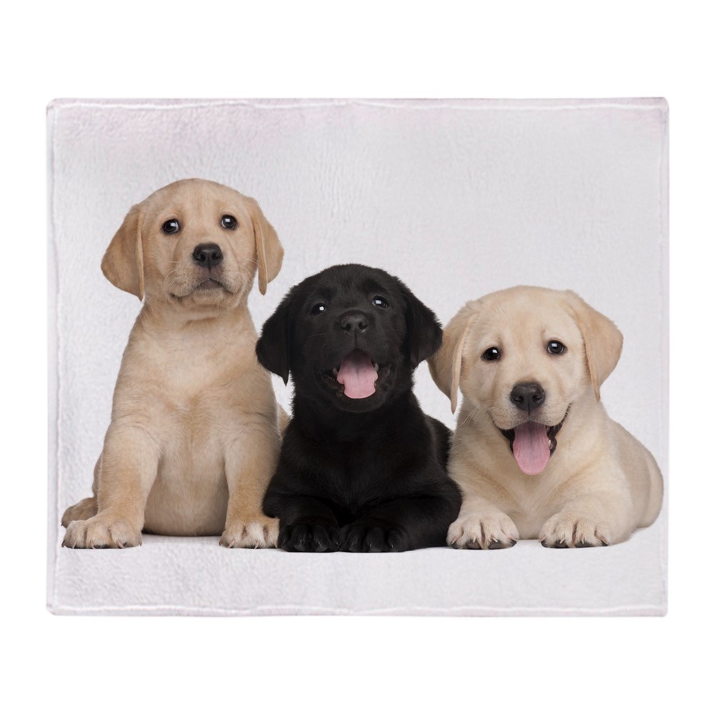 Labrador fleece blanket Clearance