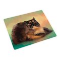 thumbnail image 1 of Persian Tortie Cat Blanket BLNKT48216, 1 of 3