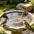 thumbnail image 1 of Bird Bath Plate Decorative Purification Plate with Support Points Natural All Weather Water Suitable for Outdoor Bird Bath Tubs and Bowls Multiple Choices, 1 of 4