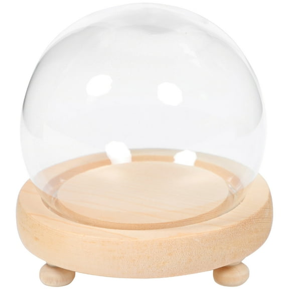 Preserved Flower Glass Dome w/ Wood Base 1 Set Glass Display Case Cloche Decor 80 110 Characters
