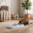 thumbnail image 6 of 3 in 1 Cat Bowl,Cat Food and Water Bowl Set with Water Dispenser and Stainless Steel Bowls,Double Bowls Design,15-degree Tilted Pet Feeder,Blue, 6 of 6