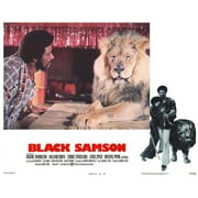 Black Samson - movie POSTER (Style D) (11" x 14") (1974)