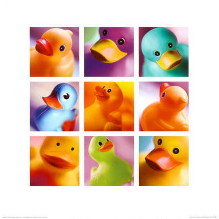 Duck Family Portraits Art Print - 15.5x15.5 (Best Place To Get Family Portraits)