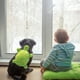 thumbnail image 4 of Mochila Para Perros Material Cómodo Y Transpirable Fácil De Llevar Facilita Los Viajes ¡Deja Que Tu Hijo Disfrute Feliz!, 4 of 6