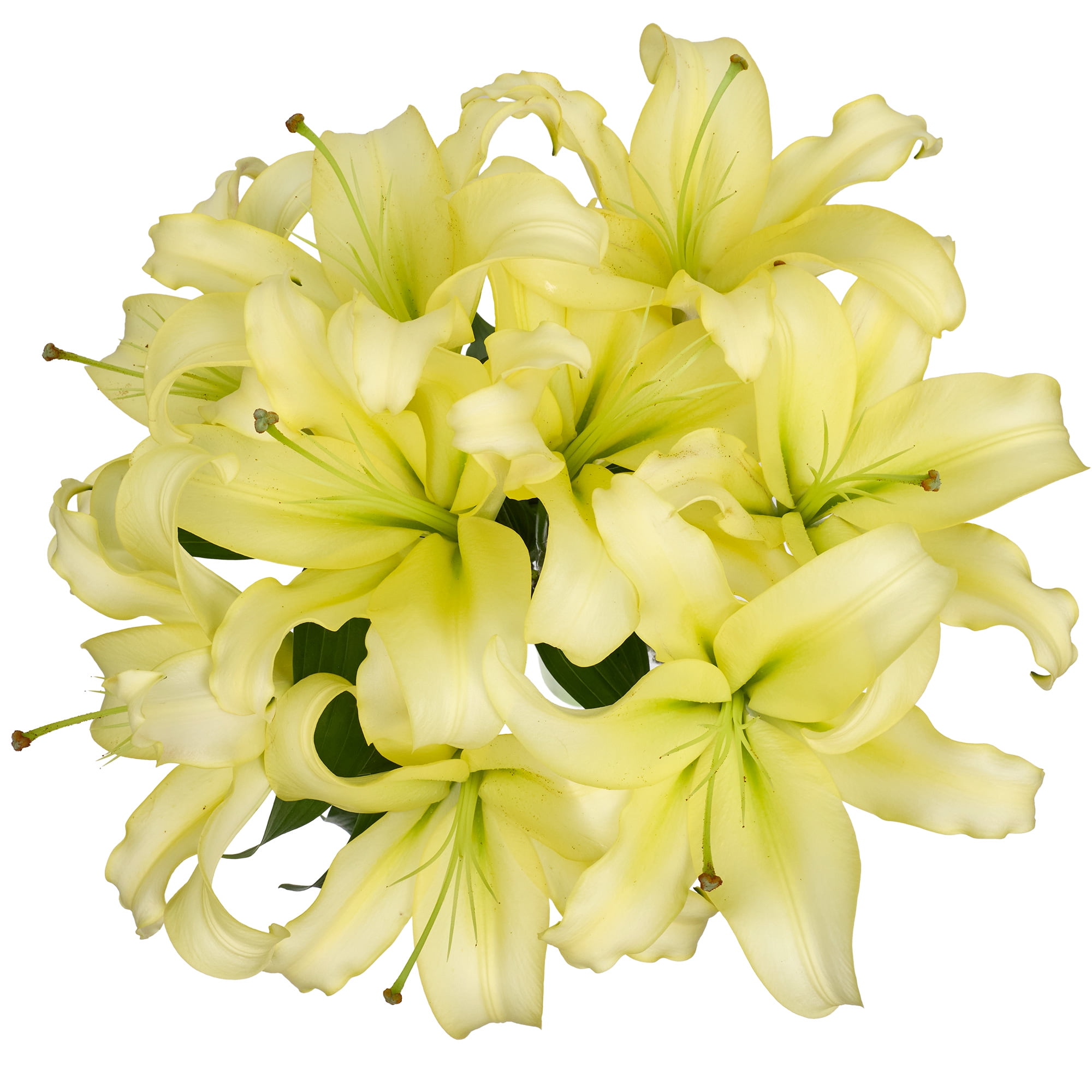 Oriental Lilies Flower Bunch Small, Colors May Vary