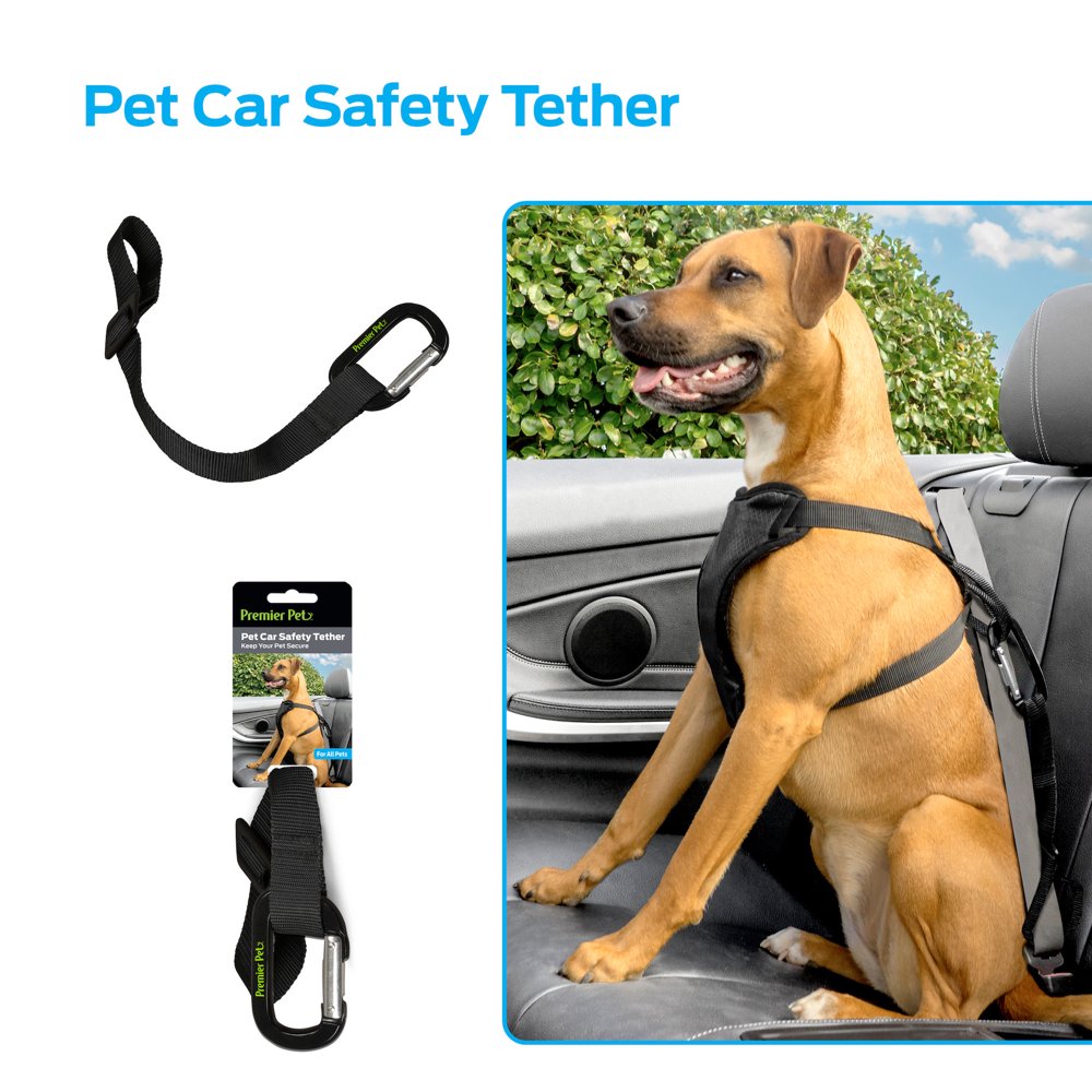 Premier Pet Pet Car Safety Tether Keeps Dog Secure in Any Vehicle, Helps Reduce Driver