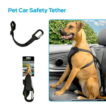 Premier Pet Pet Car Safety Tether: Keeps Dog Secure in Any Vehicle, Helps Reduce Driver Distraction, Integrates with Vehicle Seat Belt System, Works with All Vehicles and Harnesses