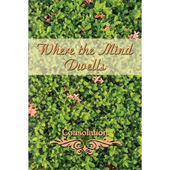 Where the Mind Dwells: Consolation (Paperback)