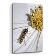 thumbnail image 2 of Epic Art 'One' by SD Smart, Acrylic Glass Wall Art, 24"x36", 2 of 8