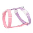 thumbnail image 1 of Mosey Premium Pet Chest Strap High Elasticity   for Walk   Not Break Loose, 1 of 7