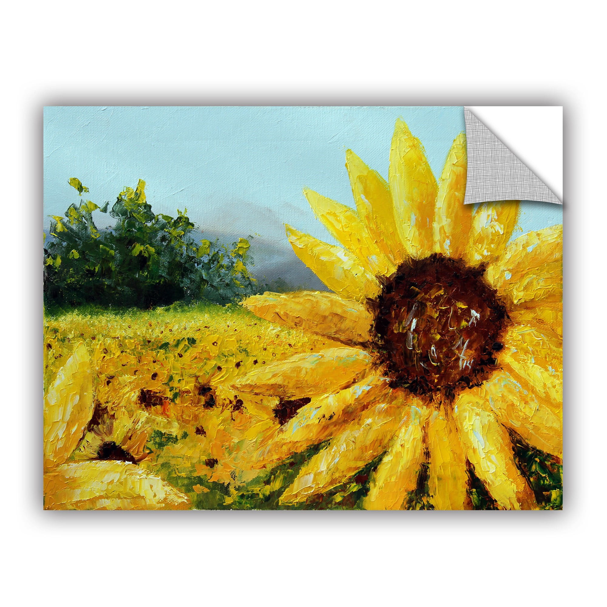 ArtWall Meaghan Troup "Warmth of the Sun" Art Appeals Removable Wall Art