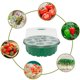 thumbnail image 3 of Juego de propagadores de jardín Mini Kit de propagación de plántulas de invernadero | 5 semillas redondas Leyfeng Juego de propagadores de jardín, 3 of 7