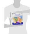 thumbnail image 3 of Toy Learning Resources Helping Hands Fine Motor, juego de 4 piezas, 3 o más, 3 of 7