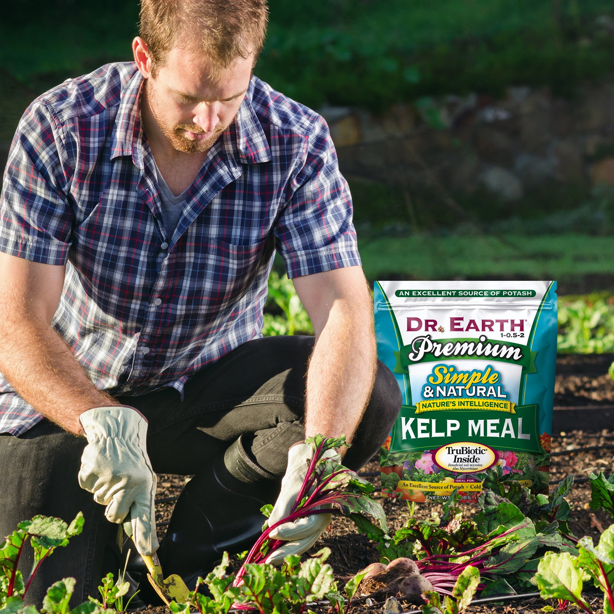 Dr. Earth Organic & Natural Premium Kelp Meal Plant Food, 1-0.5-2 Fertilizer, 2 lb.