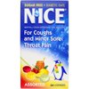 N?Ice Sugar-Free Lozenges, Assorted, 24 Ct