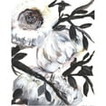 thumbnail image 3 of Chapman, Marcy 20x24 Black Modern Framed Museum Art Print Titled - Farmhouse White Bush I, 3 of 5