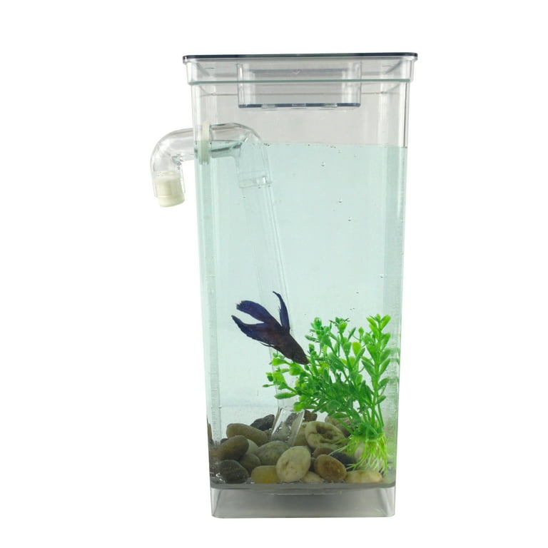 Self Cleaning Fun Fish Tank Small Aquarium Desktop Bowl As Seen On TV Walmart
