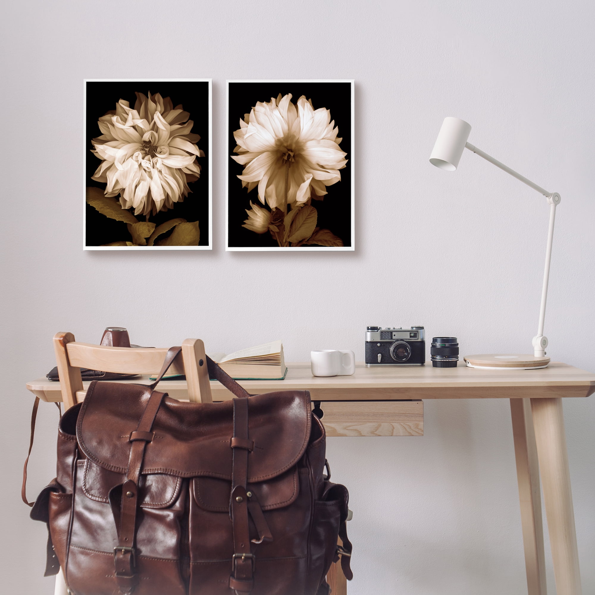 Stupell Sepia Chrysanthemum Flower Blooms Botanical & Floral Photography White Framed Art Print Wall Art, Set of 2