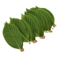 thumbnail image 5 of 50pcs Fake Magnolia Hojas de la planta artificial Hojas Simuladas de hojas de planta verde, 5 of 5
