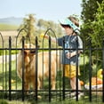 thumbnail image 2 of Garden Fence 32 inch H x 24 inch W (5 Panels, Total 10 feet), Metal Decorative Border Folding Fence, Landscape Fencing for Dog, Flower Bed, Yard, Animal Barrier, 2 of 6