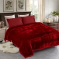 thumbnail image 2 of NC Contemporary Red Printed Polyester Reversible Bed Blanket Queen, 2 of 6