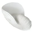 thumbnail image 4 of 18.5"L White Nautical Marine Ocean Giant Nautilus Sea Shell Decorative Sculpture, 4 of 9