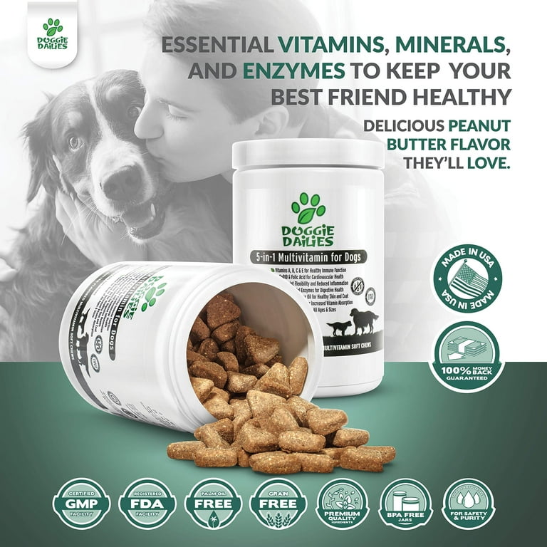 The best outlet multivitamin for dogs