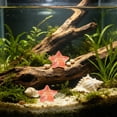 thumbnail image 6 of 10 Pack Resin Star Shape Aquarium Ornament Visible in Dark, Glow Luminous Fish Tank DIY Decorative Stones, Nocturnal Bright Substrate Accent for Betta Shrimp Tank Aquascaping Night Scenery, 6 of 7