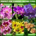 thumbnail image 4 of DUSPRO Orchid Potting Mix for Repotting with Forest Moss, Pine Bark, Perlite & Pumice Natural Ingredients, Orchid Bark Potting Mix, Orchid Repotting Kit Drainage Indoor Potting Medium 2QT, 4 of 7