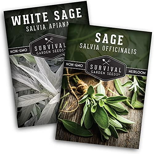 Survival Garden Seeds Sage Collection Seed Vault White Sage and
